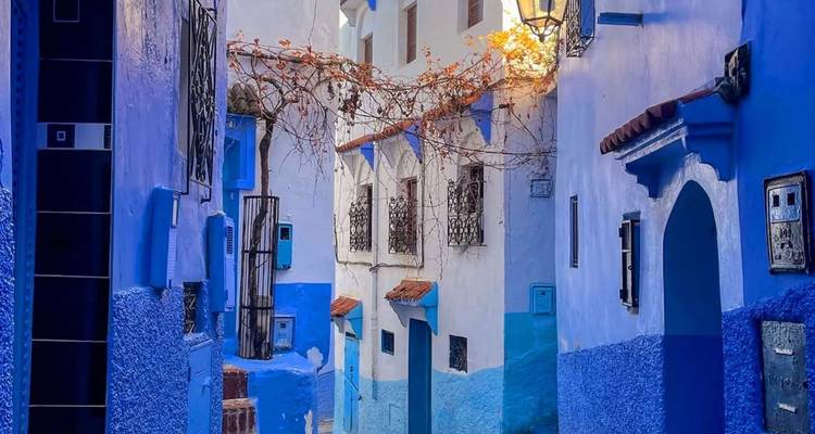 Narrow alley of Chefchaouen painted in vivid blue tones with ivy and Moorish doorways.