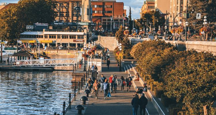 Levendige waterfront promenade in Victoria met mensen die langs aangemeerde boten en herfstbomen wandelen.