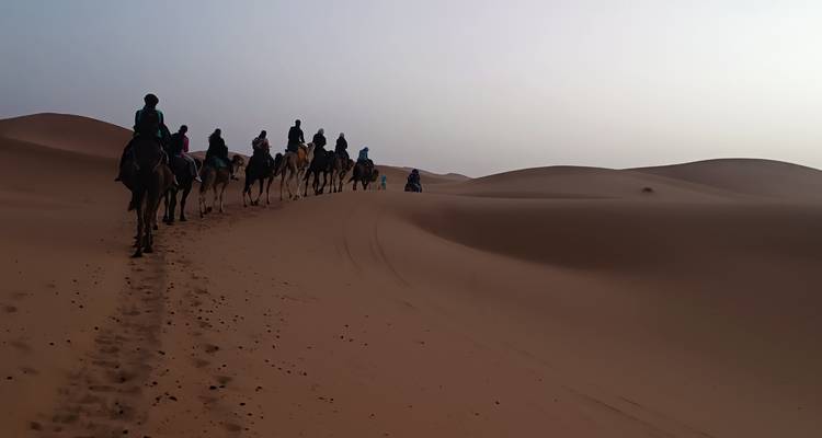 File de chameaux marchant dans le désert au crépuscule.