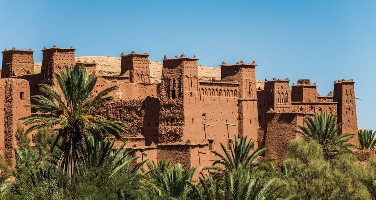 Historische Lehmziegelbauten umgeben von Palmen.