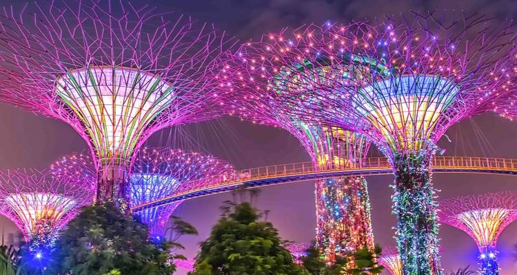 Spektakuläre Nachtansicht des beleuchteten Supertree Grove in den Gardens by the Bay mit lebendigen Neonfarben.