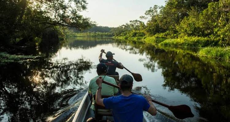 Three paddlers navigate a narrow jungle waterway in an open canoe beneath leafy overhangs.