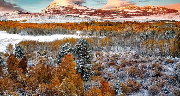 Herfstlandschap met sneeuw en kleurrijke bomen.