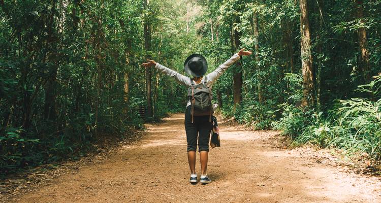 Person mit einem Rucksack, die die Arme auf einem üppig grünen Waldweg hebt.