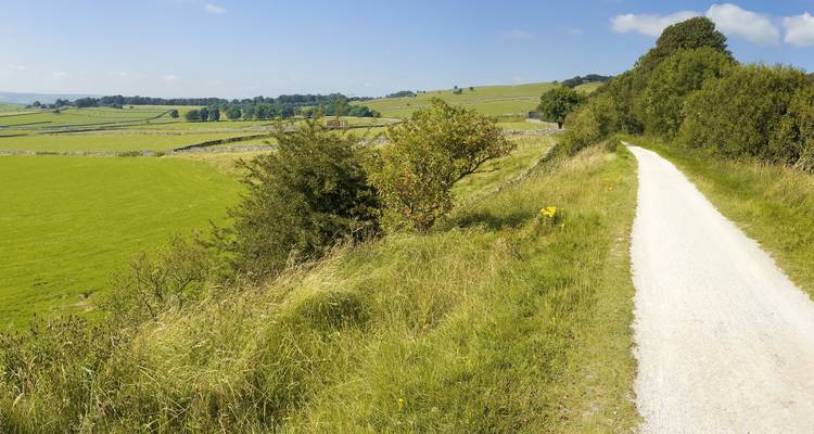 Landweg neben sanft hügeligen grünen Feldern und Steinmauern.
