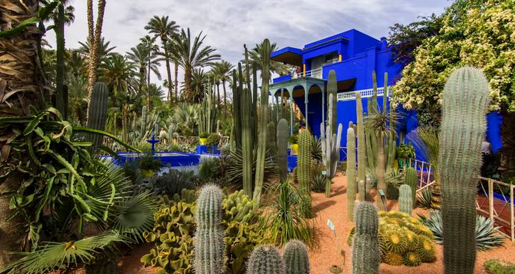 Exuberante jardín de cactus rodeando villa azul cobalto vívido y fuente.