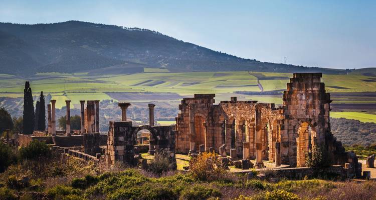 Ruined Roman columns and arches of Volubilis standing amid rolling green farmland under clear sky.
