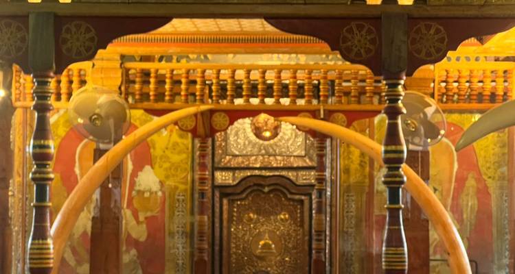Gros plan d'une menuiserie dorée ornementée et d'arcs en forme de défenses couleur ivoire à l'intérieur d'une salle de sanctuaire sacrée.