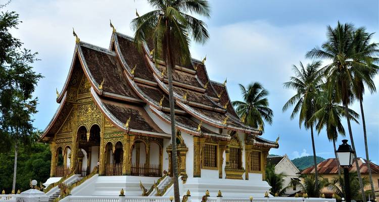 Goldenes Dachtempel umgeben von Palmen in Luang Prabang, Laos