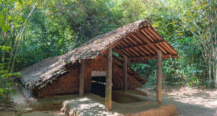 Rieten dakstructuur in een bosomgeving