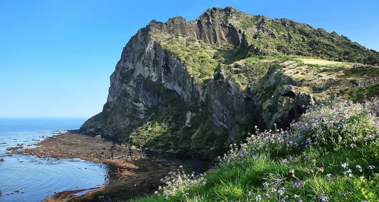 Mountainous coastal landscape with flowers in the foreground.