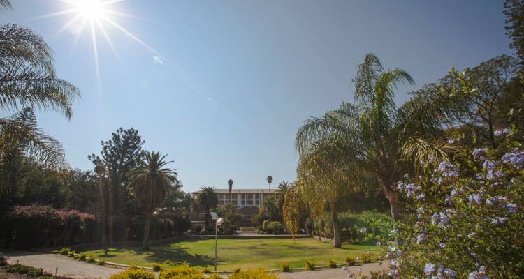 Jardín soleado con palmeras, césped y un edificio blanco a lo lejos bajo un cielo despejado