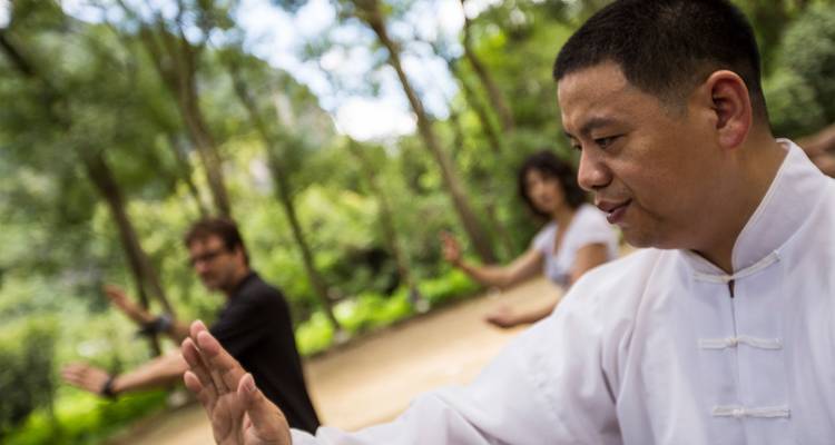 Un maestro de tai chi guía a un pequeño grupo a través de movimientos elegantes entre árboles altos.