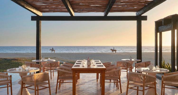 Un restaurant en plein air en bord de plage donne sur des cavaliers qui trottent le long du rivage au coucher du soleil.