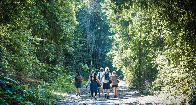 Groep mensen die wandelen langs een bospad.