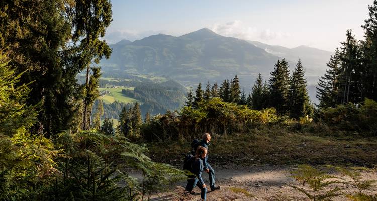 Zwei Wanderer, die im Wald mit einer Bergkulisse spazieren gehen.
