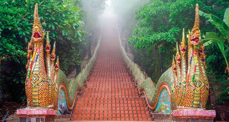 Escalier brumeux avec des rampes décoratives en forme de dragon dans une forêt.
