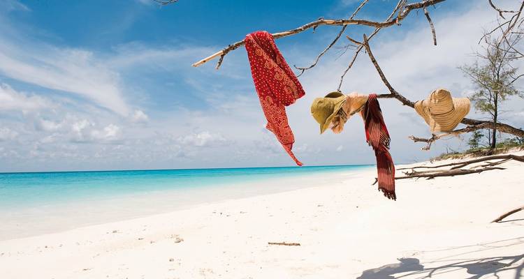 Une plage de sable avec des vêtements et des chapeaux suspendus à une branche.