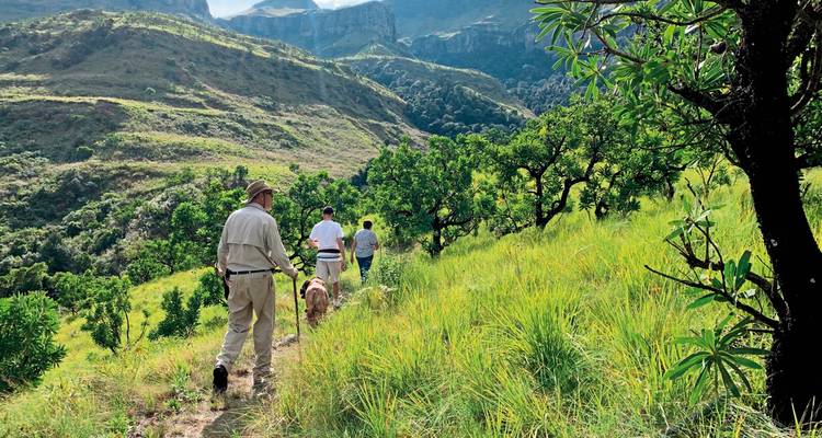 Des personnes faisant de la randonnée dans une région montagneuse verdoyante et luxuriante.