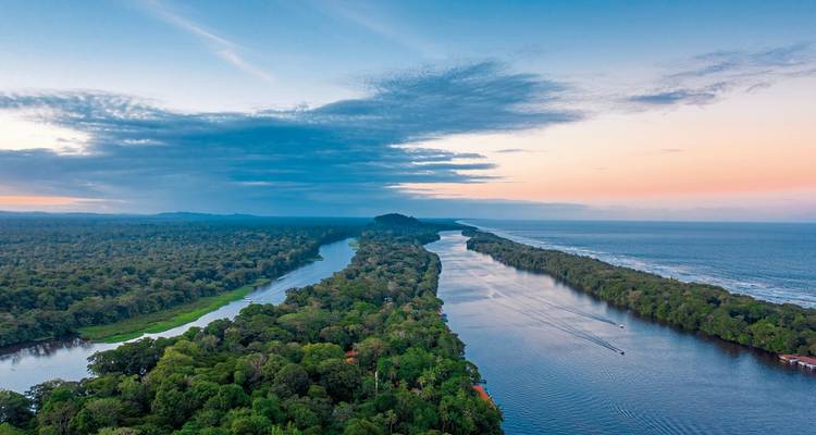 Aerial view of rivers and forested areas with ocean on the side.