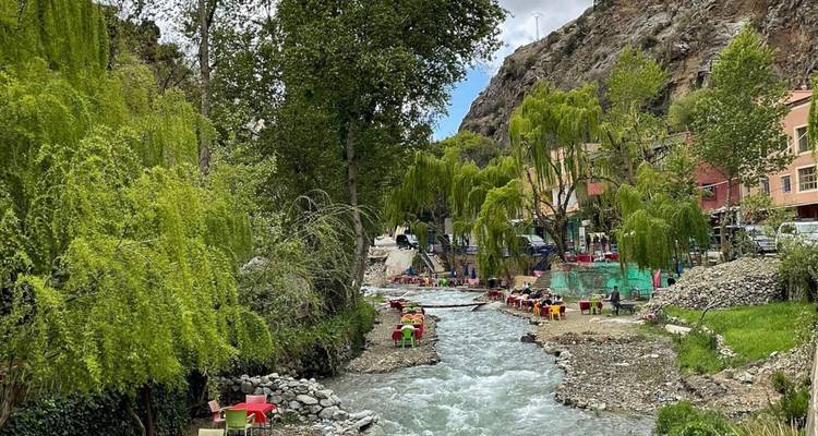 Mountain stream bordered by willow trees and colorful outdoor seating areas.