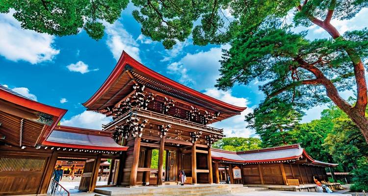 Großer Shinto-Schrein mit Bäumen und einem strahlend blauen Himmel.