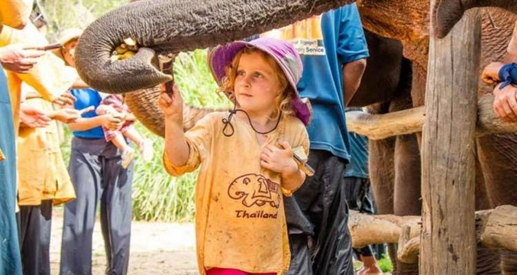 Kind füttert einen Elefanten, während andere im Hintergrund zuschauen.