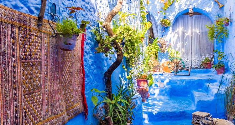Cozy courtyard with plants in Chefchaouen, Morocco.