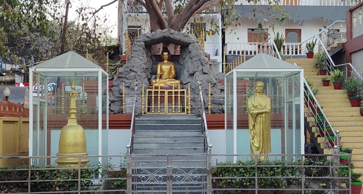 Outdoor shrine featuring a seated golden Buddha under a tree, flanked by glass cases containing other statues.