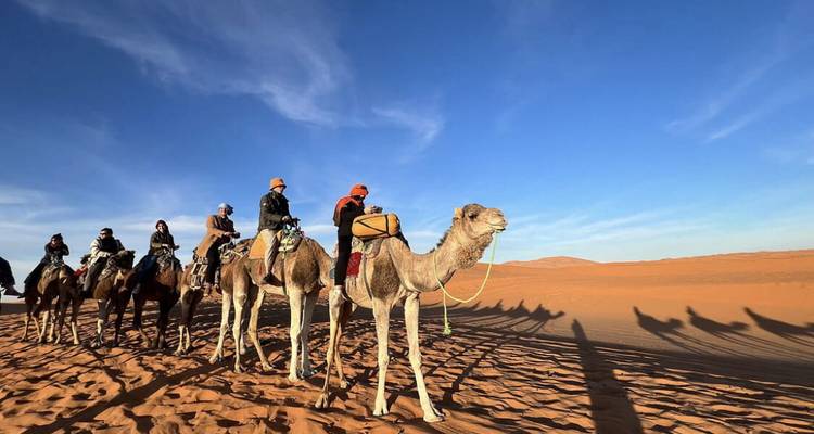 Kamelkarawane mit Touristen in der Wüste.