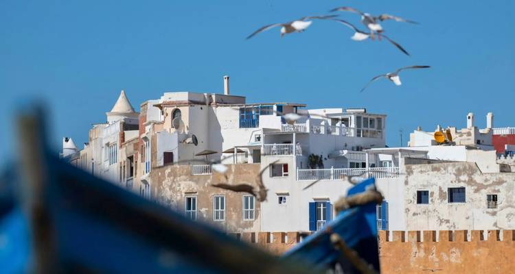 Küstengebäude mit Möwen, die im blauen Himmel fliegen.