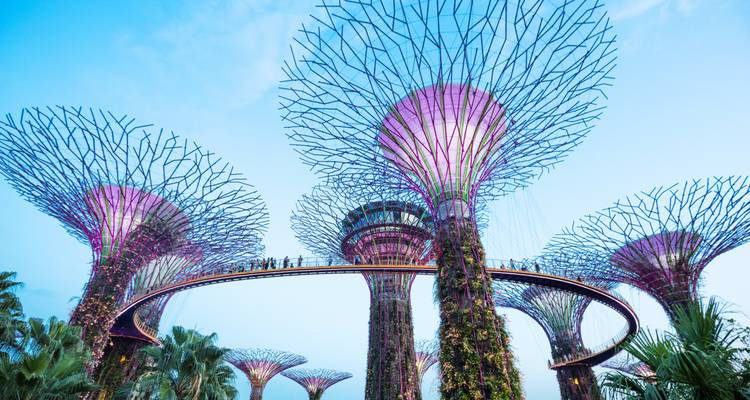 Futuristic trees lit up in a park during dusk.