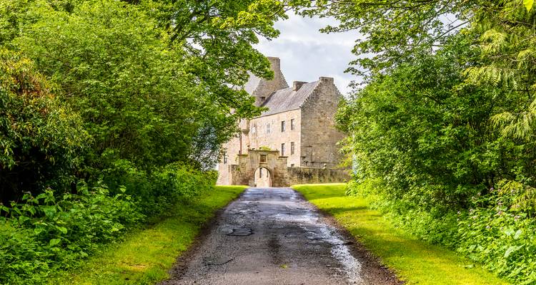 Narrow tree-lined lane leading to secluded Scottish castle gateway