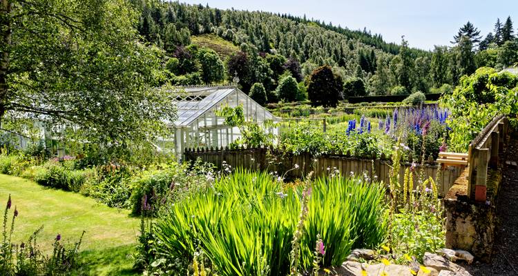 Lush Scottish garden with greenhouse and colorful flower beds set in wooded valley