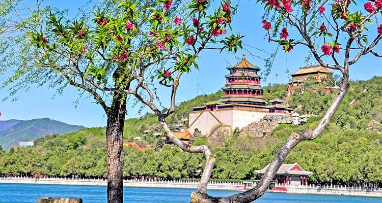 De pagoda's van het Zomerpaleis kijken uit over het meer, omlijst door uitlopende takken en heldere voorjaarslucht.