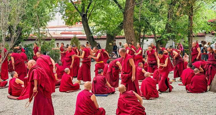 Large gathering of red-robed monks in a shaded monastery courtyard engaged in animated debate beneath leafy trees.