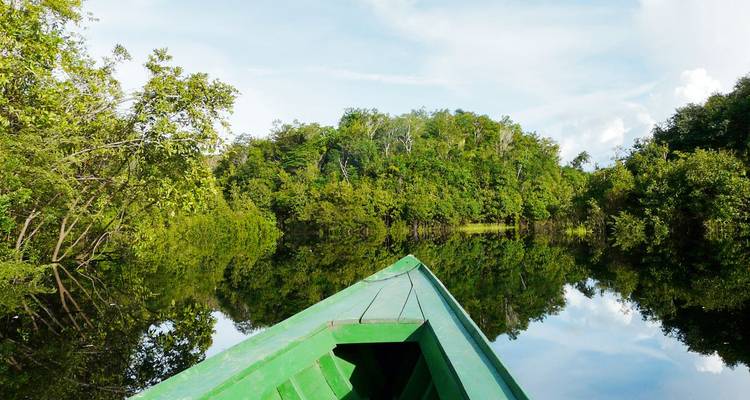 Proue d'un bateau vert glissant sur les eaux miroir de la jungle amazonienne entouré d'une forêt tropicale dense.