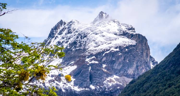 Pic de montagne enneigé avec de la verdure au premier plan.