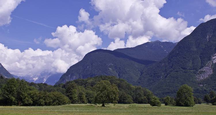 A wide alpine valley with lush meadows and forested mountains sits beneath a sky full of cotton clouds.