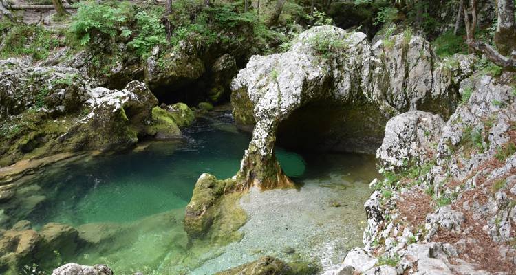 An emerald stream pools beneath a natural stone arch in a lush forest setting.