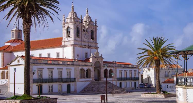 Église historique avec un clocher et des palmiers sur la place.