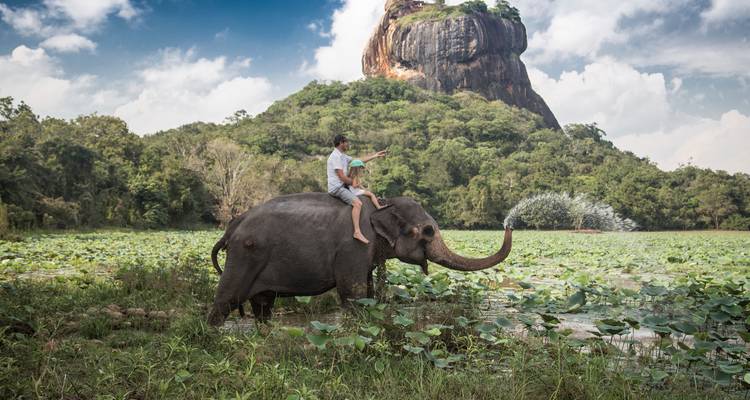 Un homme chevauche un éléphant à travers un lac rempli de lotus avec le rocher de Sigiriya qui se dresse en arrière-plan.
