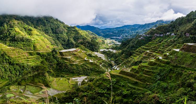 Une vue panoramique de champs en terrasses situés au milieu de collines verdoyantes.