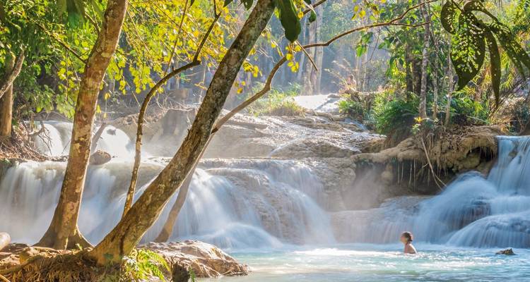 Person swimming in a pool beneath a waterfall.