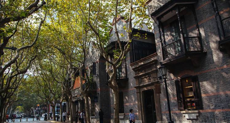 Calle arbolada con hileras de árboles, casas históricas de ladrillo y peatones disfrutando de un paseo.
