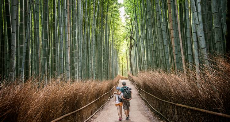Couple walking through a bamboo forest path.