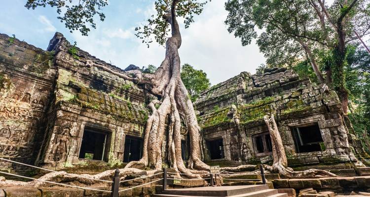 Temple ancien avec de grandes racines d'arbres recouvrant la structure.