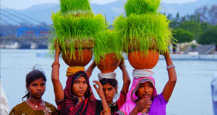 Femmes portant des pots avec de la verdure sur la tête près de l'eau.