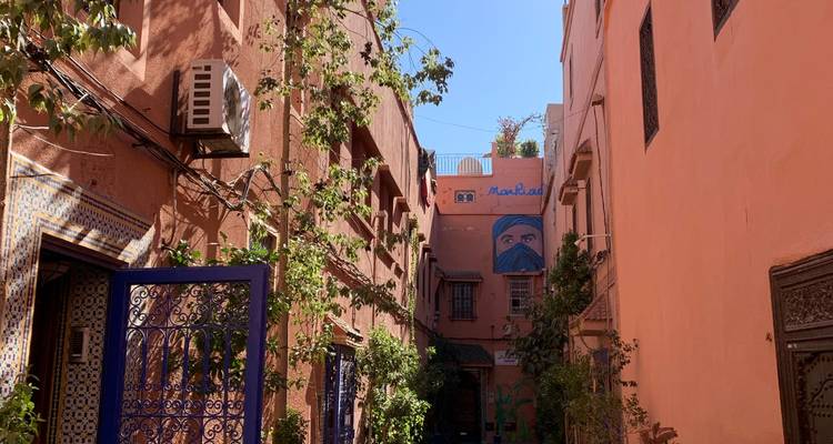 Street with vibrant colored walls and greenery