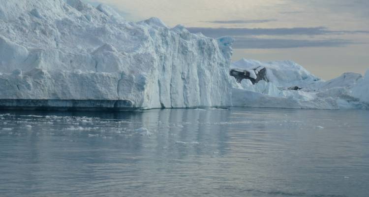 Massive Eisberge treiben in ruhigen Polargewässern.